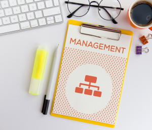 Lean Organisation Management Techniques